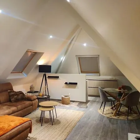 Unique Loft With Castle View Daire