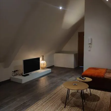 Unique Loft With Castle View Daire