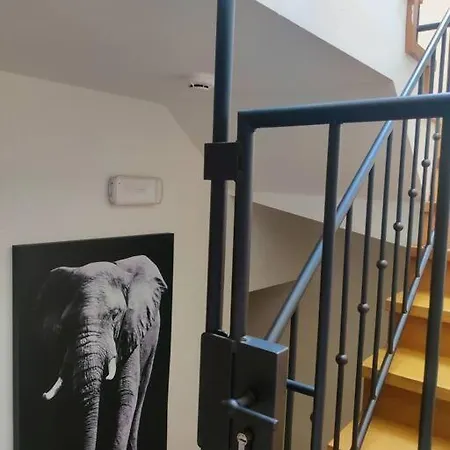 Daire Unique Loft With Castle View Hingene